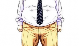 灌篮bl漫画,篮球梦想的青春篇章